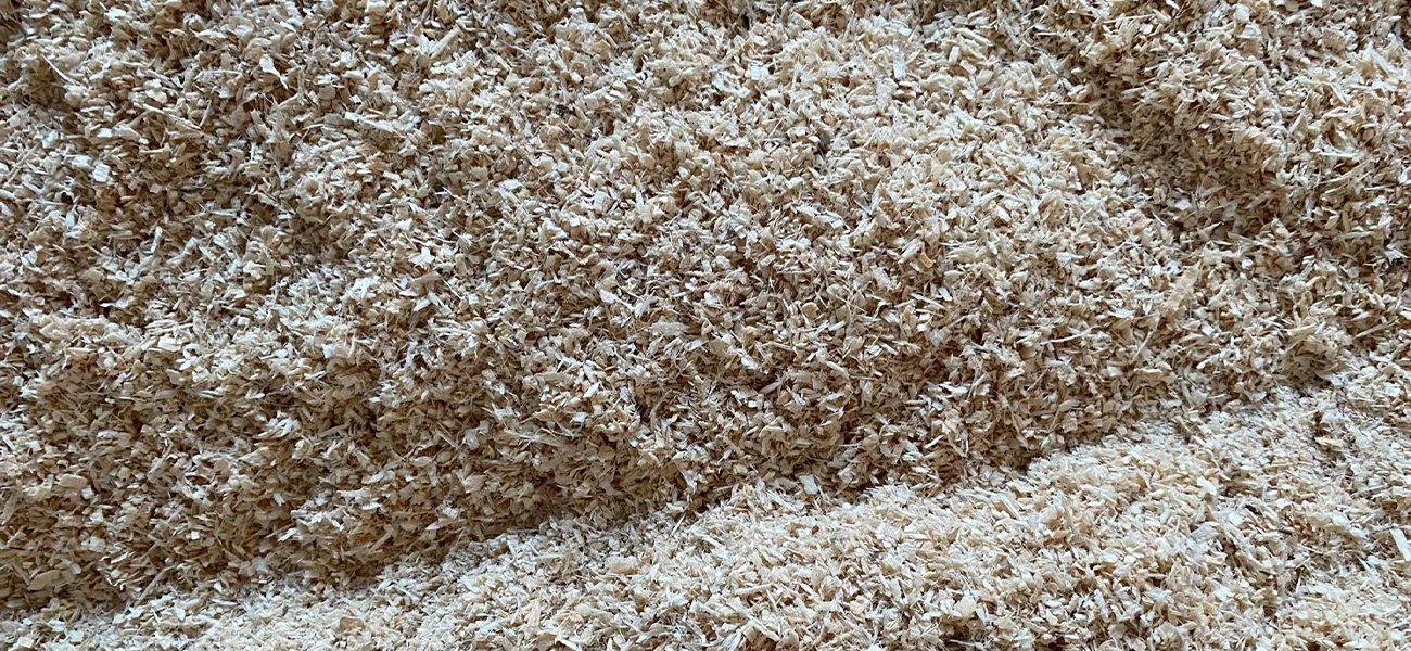 sawdust
