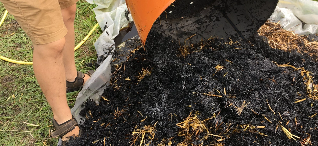 biochar